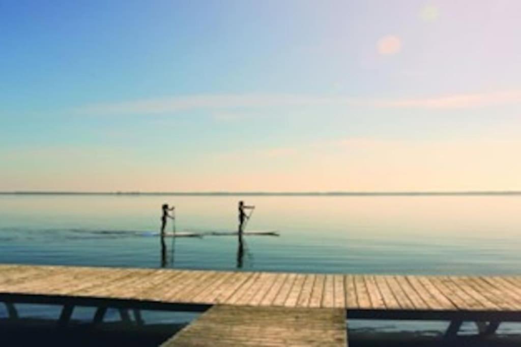 Le Bouscat: Un Superbe Appartement En Residence ภายนอก รูปภาพ